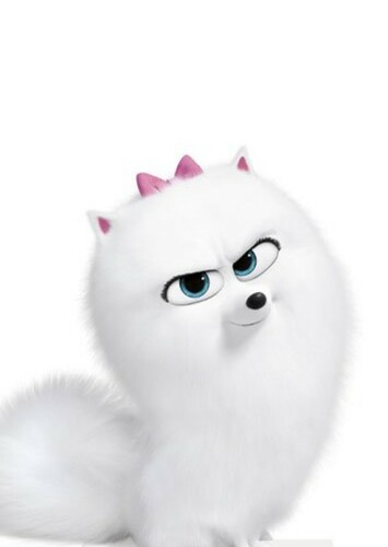 Gidget