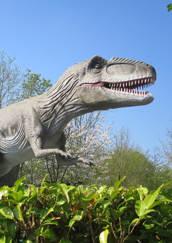 Giganotosaurus