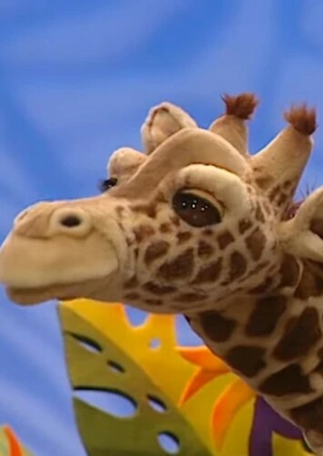 Gina the Giraffe