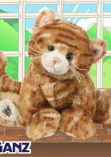Ginger Cat