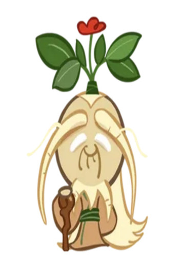 Ginseng Cookie