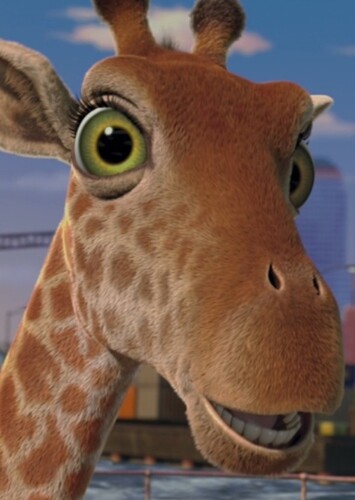 Giraffe's Wife