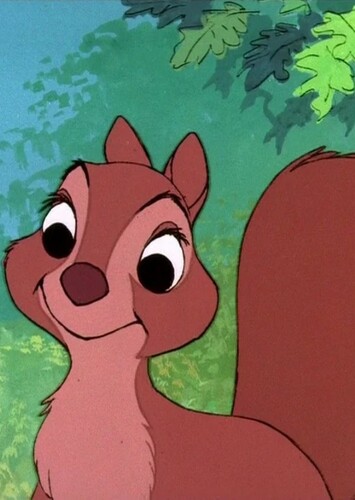 Girl Squirrel