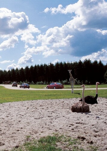 Givskud Zoo - Zootopia