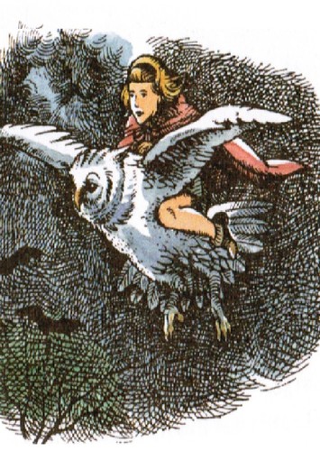 Glimfeather