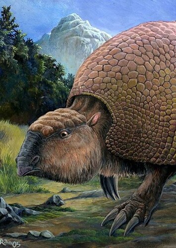 Glyptodonts