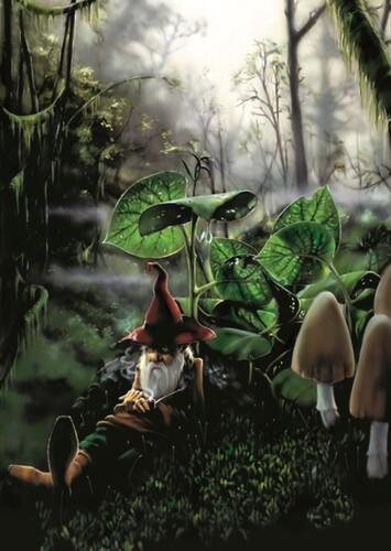 Gnome