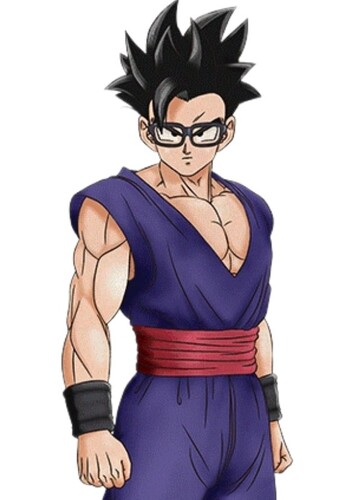 Gohan (DBS Super Hero)