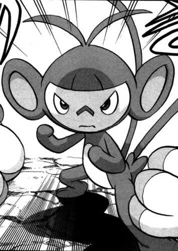 Gold's Ambipom (English Dub)