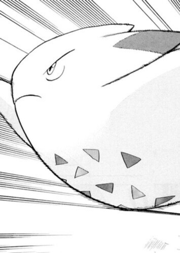 Gold's Togekiss (English Dub)