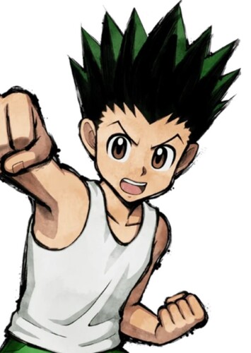 Gon Freecss