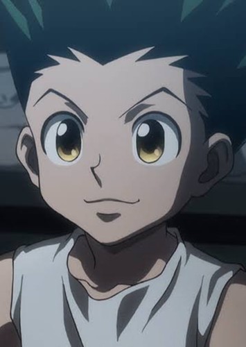 Gon Freecss (Future)