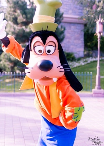 Goofy