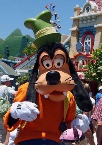 Goofy Goof