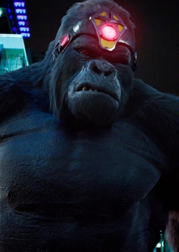 Gorilla Grod