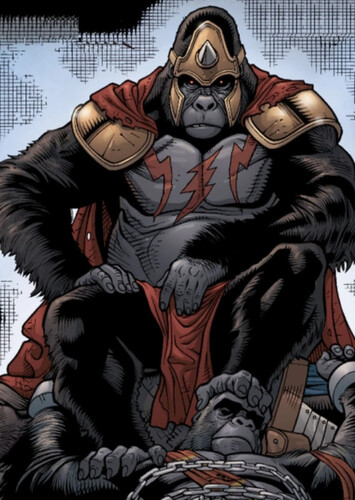 Grodd