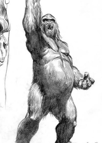 Gorilla grodd