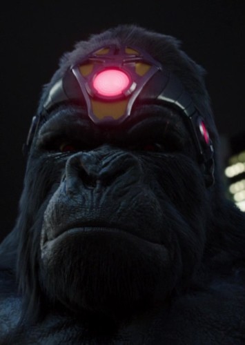 Gorilla Grodd (Earth-1)