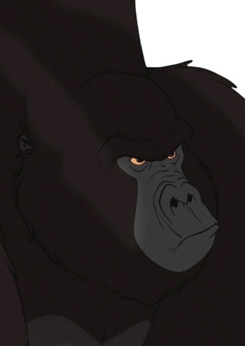 Gorilla leader