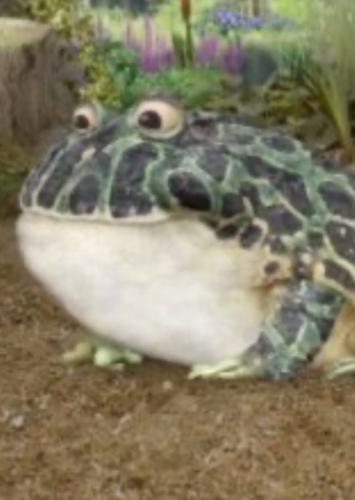 Grandfather Bullfrog