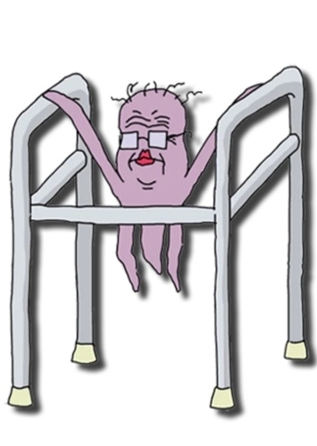 Granny Cuyler