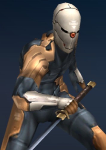 Gray Fox