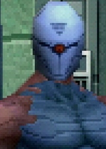 Gray Fox