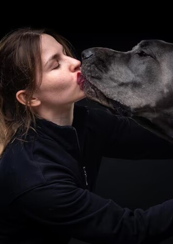 Great Dane Owners