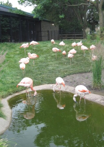 Great Plains Zoo