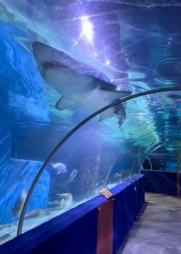 Greater Cleveland Aquarium