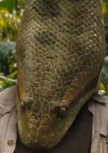 Green Anaconda