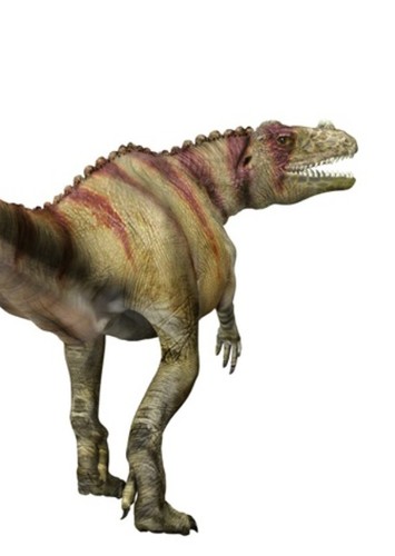 Green Ceratosaurus