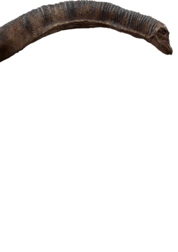 Green Saltasaurus