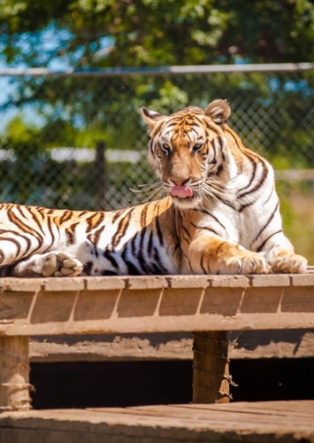 Greenview Aviaries Park and Zoo