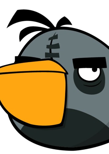 Grey Bird