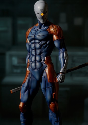Grey Fox