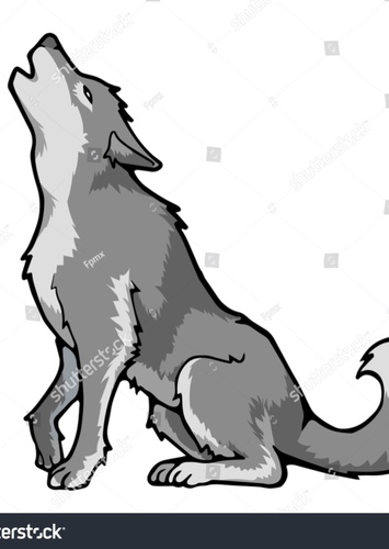 Grey Wolf
