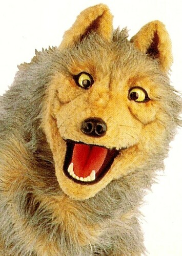 Grey Wolf