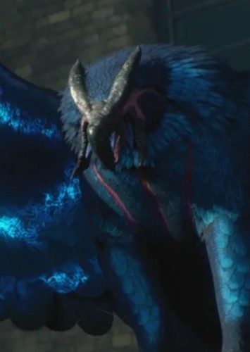 Griffon