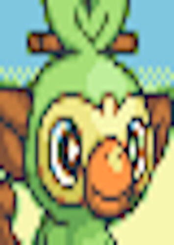 Grookey (English Dub)