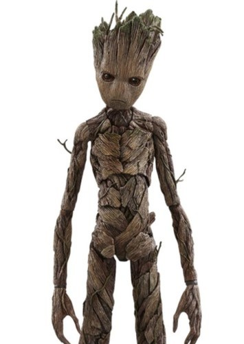 Groot