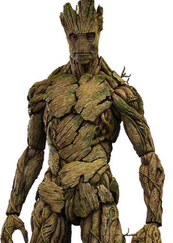 Groot