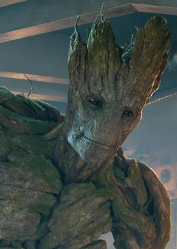 Groot