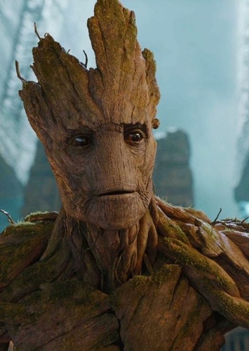 Groot