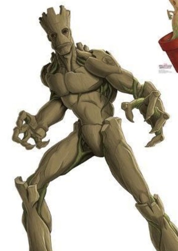 Groot