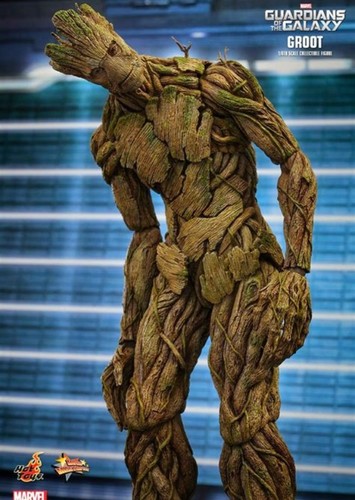 Groot