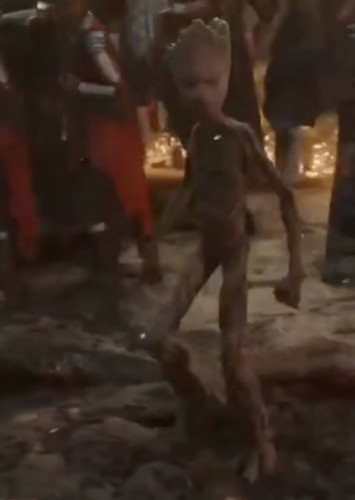 Groot