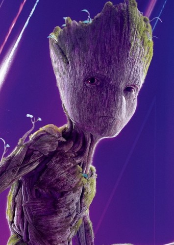 Groot