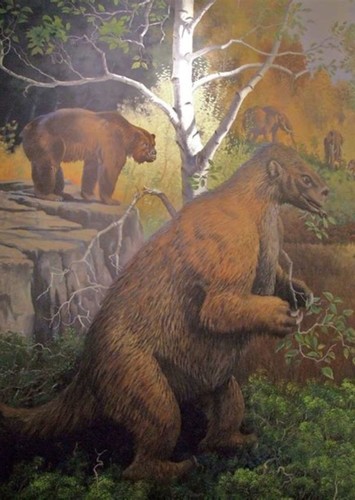 Ground Sloths