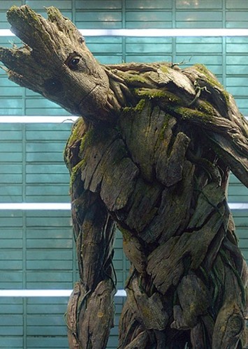 Grown Talking Groot